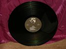 RATTUS TOILET BLOWS UP LP NEAR MINT PUNK MUTHA RECORDS NEVER RELEASED RARE