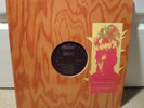 Syd Barrett Dark Globe PROMO 12