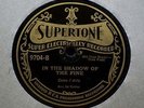 1930 Gene Autry Supertone Gennett Country Yodel Hillbilly 78