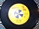 Litter- Action Woman/Legal Matter monster garage 45