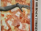 Die Goldenen Zitronen - Economy Class (LP + Poster)