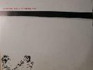 SCATTERED ORDER Screaming tree M2 Label in Exc condition Industrial minimal