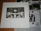MAN IS THE BASTARD / BLEEDING RECTUM split LP vinyl #438