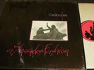 Celibates - A Shameless Fashion (Minimal Synth DIY KBD Private Press LP) Shrink