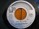 Northern Soul Masquarders-How Big Is Big / Please Take Me back Bell 874