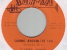 THE FLOWER POWER Sailing Around The Sun Tune-Kel psych