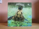 MISSISSIPPI JOE CALLICOTT PRESENTING THE COUNTRY BLUES ORIG 1969 BLUE HORIZON LP