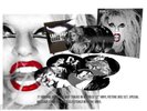 LADY GAGA   BORN THIS WAY LIMITED COLLECTOR'S EDITION PICTURE DISC VINYL BOX SET