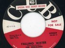 Zebulons-Falling Water-NM Cub Promo Doo Wop 45