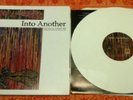 INTO ANOTHER Ignaurus LP RARE 200/WHITE nyhc sxe UNDERDOG BOLD GORILLA BISCUITS