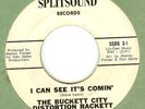 BUCKETT CITY DISTORTION RACKETT:I Lied-7