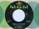 THE STANDELLS Zebra In The Kitchen - Someday You'll Cry ORIGINAL 1965 MGM 45