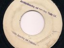 RASTA IS CALLING / BRIDGE OVER TROUBLED WATER - NIGHTINGALES / CEDRIC IM BROOKS
