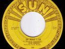HOT 50s ROCKABILLY 45 SLIM RHODES DO WHAT I DO SUN 256 VG++ HEAR BOTH SIDES