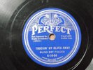 BLIND BOY FULLER / TRUCKIN' MY BLUES AWAY / GREAT BLUES 78 A BIT NOISY