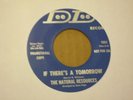 Sweet Soul 45 The Natural Resources IF THERE'S A TOMORROW  Killer PROMO