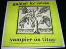 Guided By Voices 
