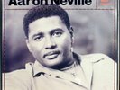 AUDIOPHILE LP:AARON NEVILLE/Warm Your Heart*A&M 1991*Original 1st Pressing*MINT