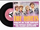 The Rivets - Wade In The Water 