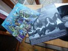 CATHEDRAL THE ETHEREAL MIRROR 1983 MINT TOP METAL