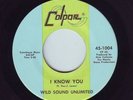 NORTHERN SOUL 45-WILD SOUND UNLIMITED-I KNOW YOU-US COLPAR-LISTEN