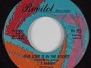 Northern Soul 45 J.J. BARNES Our Love Is In The Pocket REVILOT HEAR