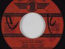 Northern Soul 45 JIMMY (SOUL) CLARK I'll Be Your Winner SOULHAWK  HEAR