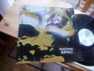 BUFFALO DEAD FOREVER 1971 MINT AUSTRALIA PROG. KILLER