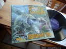 SAVOY BROWN LOOKING IN UK DECCA PRESS IN MINT