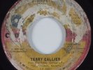 Northern Soul 45 TERRY CALLIER Ordinary Joe CADET HEAR