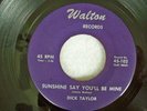 DICK TAYLOR 45 RPM, LINDA LOVE / SUNSHINE SAY YOU`LL BE MINE, WALTON RECORDS 102