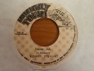 Roman Stewart - Praise Jah 1978 JA 45 HUNGRY TOWN