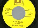 SUNSHINE REIGNS 45RPM '68 MBM ACELIA DULFIN HOT PSYCHEDELIC M- VINYL