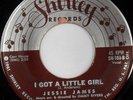 rare Soul R&B 45 JESSIE JAMES i got a little girl Hear