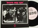 RADIO BIRDMAN Burn My Eye RE oz kbd punk Stooges MC5 Saints Fun Things 7