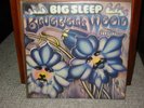 BIG SLEEP - BLUEBELL WOOD LP 6306 904 ORIGINAL PRESS VON 1971 IN GREAT CONDITION