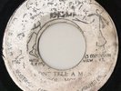 ERROL HOLT Don’t Tell A Man BLACK BELT REGGAE DUB 7” ??