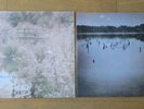 RED HOUSE PAINTERS - S/T (Bridge) LP CAD3016 vinyl Mark Kozelek inner sleeve