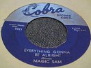 rare Blues 45 Magic Sam 