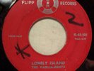 SOUL DOO-WOP PARLIAMENTS LONELY ISLAND RARE FLIPP 100 GEORGE CLINTON FUNKADELIC