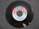 THE CHERRY SLUSH 60s MICHIGAN POUNDING GARAGE PSYCH FUZZ 45 I CANNOT STOP YOU