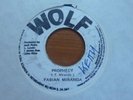 Fabian Miranda - Prophecy 1976 JA 45 WOLF