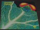 CATAPILLA CHANGES  PROG PSYCH RARE  VERTIGO SWIRL ORG   NM