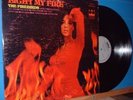 LP-The Firebirds-Light My fire 60's fuzz psych garage craziness