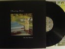 THROWING MUSES: THE REAL RAMONA-CATCHY & RIVETING SURREAL POP/ROCK