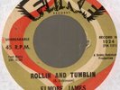 Elmore James Rollin and Tumblin/I'm worried Fire 1024 Chicago blues 45