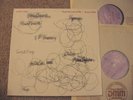 JOHN CAGE Etudes Boreales 1978 Ryoanji 1983 DMM AUDIOPHILE JAZZ 2 LP German NM