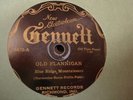 BLUE RIDGE MOUNTAINEERS Old Flannigan / Old Voile GENNETT 6870