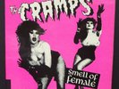 THE CRAMPS, SMELL OF FEMALE, BOX SET OF 4, 45 RPM, SINGLES, Psychobilly, PUNK