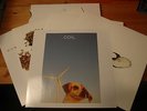 COIL-APE OF NAPLES/THE NEW BACKWARDS 4XLP BOX